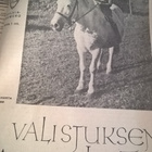 Valistuksen Lastenlehti - vuosikerta 1937 - 12kpl - pikkukuva 3
