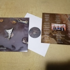 CHESTBURSTER - Spring Revelations LP - pikkukuva 1
