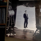 STEPHEN TIN TIN DUFFY :: THE UPS AND DOWNS : VINYYLI LP 1985 - pikkukuva 5