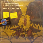 IAN A. ANDERSON - A VULTURE IS NOT A BIRD YOU CAN TRUST - LP - pikkukuva 1