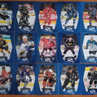 1998-99 UD Choice Starquest Blue setti 1-30 - pikkukuva 2