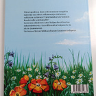 Tiina Tikkanen : Keijun kesä - pikkukuva 2