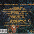 Leevi and the Leavings - KERRAN ELÄMÄSSÄ - pikkukuva 2