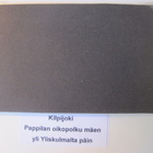 VANHA Postikortti Lieto Kilpijoki 1920-l - pikkukuva 3