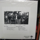 MADHOUSE - FIRST DAMAGE 2002 US GRAYMARBLE VINYL M-/M- LP - pikkukuva 2