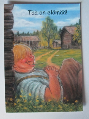 KULKEMATON TERHO PELTONIEMI HÖRÖLÄ SARJAA KESÄTUNNELMIA