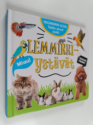 Isommin iloa : Lemmikkiystävät