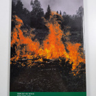 Local and global heritage : proceedings of the Heritage S... - pikkukuva 2