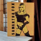 Samantha Fox : Hieno taulu - pikkukuva 3