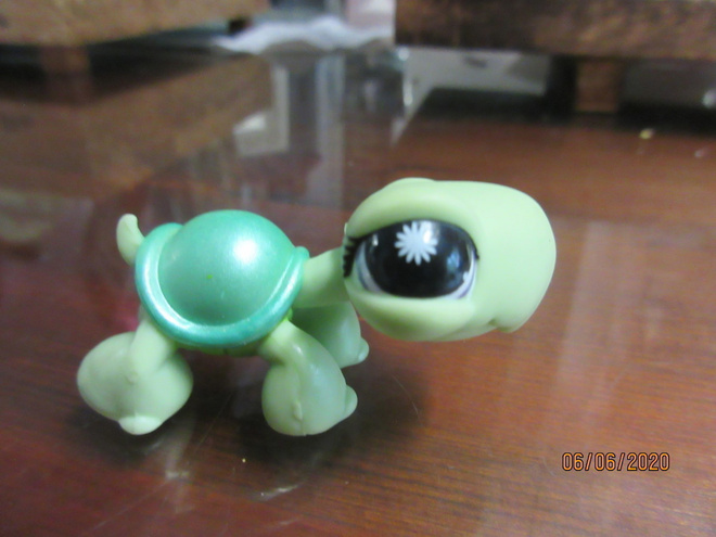 Littlest Pet Shop kilpikonna 2006 Hasbro.