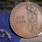Pronssinen TYÖ ja TAITO Mitali soljella 10v. - pikkukuva 1