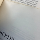 Schalin, Sundman - Bertel Jung: suurkaupungin hahmottaja - pikkukuva 2