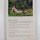 Origo (Jouni Lompolo) : Kansakunnan kaapin alla - pikkukuva 2