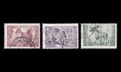 418-20 ** Tuberkuloosi metsän eläimiä (1953)