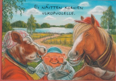 Terho Peltoniemi Ei näitten korvien ulkopuolelle