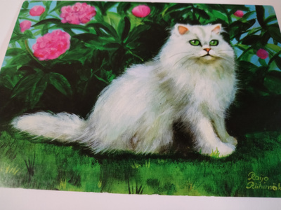 Kissa kortti,kulkematon.