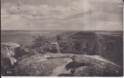 Koli. valok. J. V. Mattila , e111