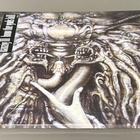 DANZIG: Danzig III - How the gods - LP, uusi - pikkukuva 4