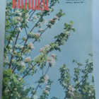 Kotiliesi No 10 toukokuu 1955 - pikkukuva 1