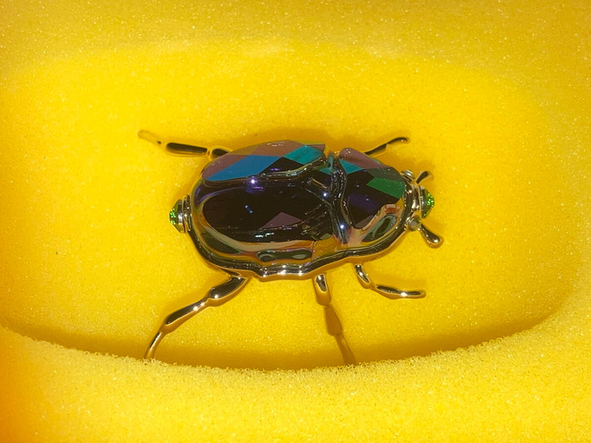 Swarovski 5668994 SCS 2024 PWP/GWP Beetle (2024-2024)