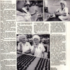 MeNaiset n:o 46 1989 Riki & Barbara. Melanie & Don. Aili S. - pikkukuva 5
