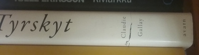 Claudie Gallay - Tyrskyt (sid.)