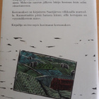 Tapper Harri: Syyntakkeetom mies - pikkukuva 2