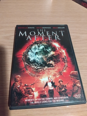 THE MOMENT AFTER      DVD          ( sony )