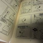 Charles M. Schulz / Ressu eduskuntaan - pikkukuva 2