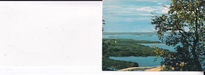 Koli b686
