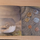 Eurorahasarja 2018/1 "Ankerias" 1c-2€ + jetoni UNC - pikkukuva 3
