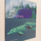 Michael Bright : Dolphins - pikkukuva 1