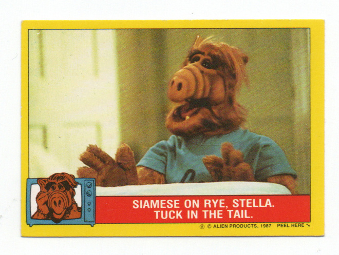 Purkkakuva ALF n:o 25 1987