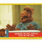 Purkkakuva ALF n:o 25 1987 - pikkukuva 1