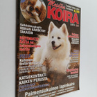 Meidän koira 3/2011 - pikkukuva 1