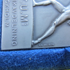 :K.F.U.M.s GYMNASTIKAVDELNING STOCKHOLM + RASIA - pikkukuva 3