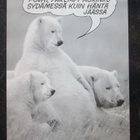 KULKEMATON JÄÄKARHUT "THE DING DONG ZOO" PR KORTTI - pikkukuva 1