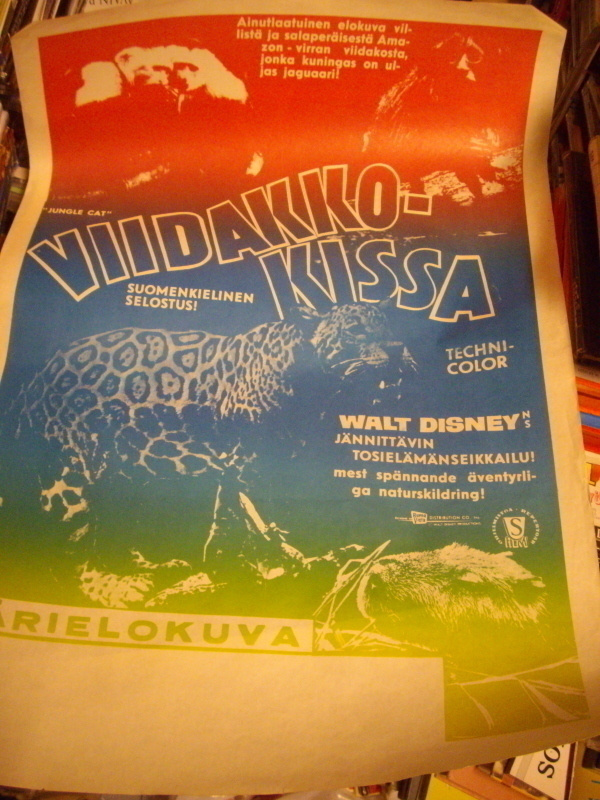 Vanha elokuvajuliste : Viidakkokissa  ( Walt Disney ) Sis.pk