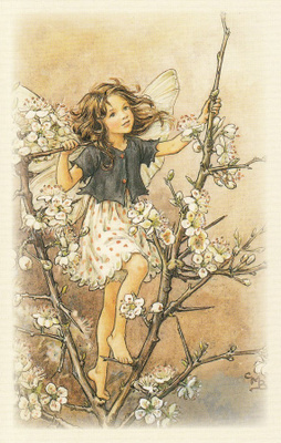 Cicely Mary Barker: Kukkakeijut oratuomi