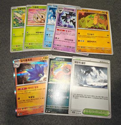 Pokémon Snow Hazard Korea
