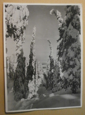 Vuokatti, Pikku Pölly, Vuokatin Urheiluopisto, vkpk p. 1953