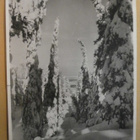 Vuokatti, Pikku Pölly, Vuokatin Urheiluopisto, vkpk p. 1953 - pikkukuva 1