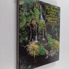 William Warren ym. : The Tropical Garden - Gardens in Tha... - pikkukuva 1