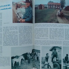 Pellervo N:o 14 1961 - pikkukuva 4