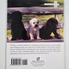 The Essential Labrador Retriever - pikkukuva 2