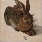 kortti °/** Dürer Albrecht Luonto tai ihminen - erilaisia - pikkukuva 2