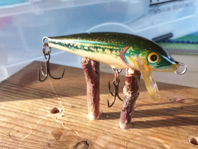 Rapala   Sinking 5cm Ireland