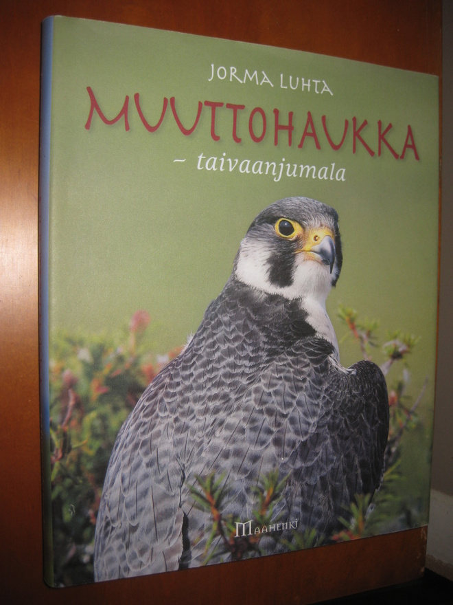 Muuttohaukka : taivaanjumala  Luhta, Jorma 