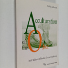 Sirkku Aaltonen : Acculturation of the other : Irish mili... - pikkukuva 1