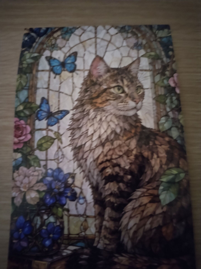 Kissa  kortti, kulkematon.